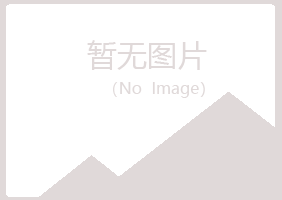 大连中山初夏采矿有限公司